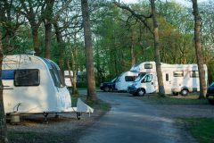 Several RVs and motorhomes parked in the forest
