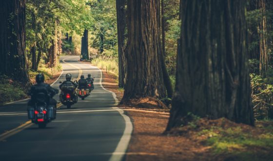 Motorcyclists in Redwood Park in Northern California