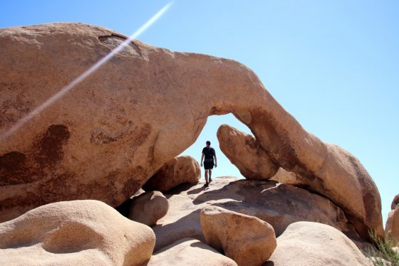 Man on a solo hike explores Joshua Tree Park - cheap car insurance in California.