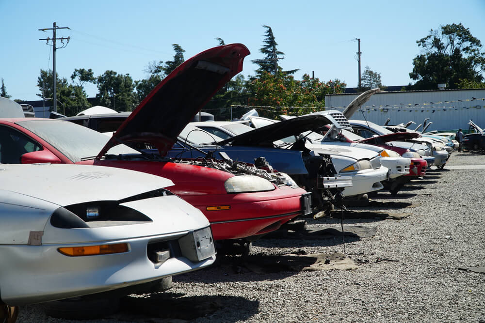 Rows of damaged cars lined up in a salvage yard with several hoods open, illustrating vehicles that may require salvage title insurance California.