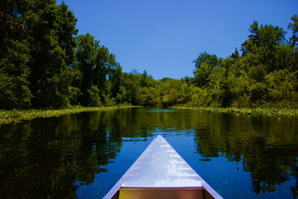 Bosque Nacional de Ocala - Cost-U-Less
