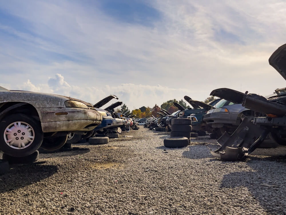 Autos dañados alineados en un yonke con cofres abiertos y piezas sueltas, una escena común al evaluar un título salvage en USA.