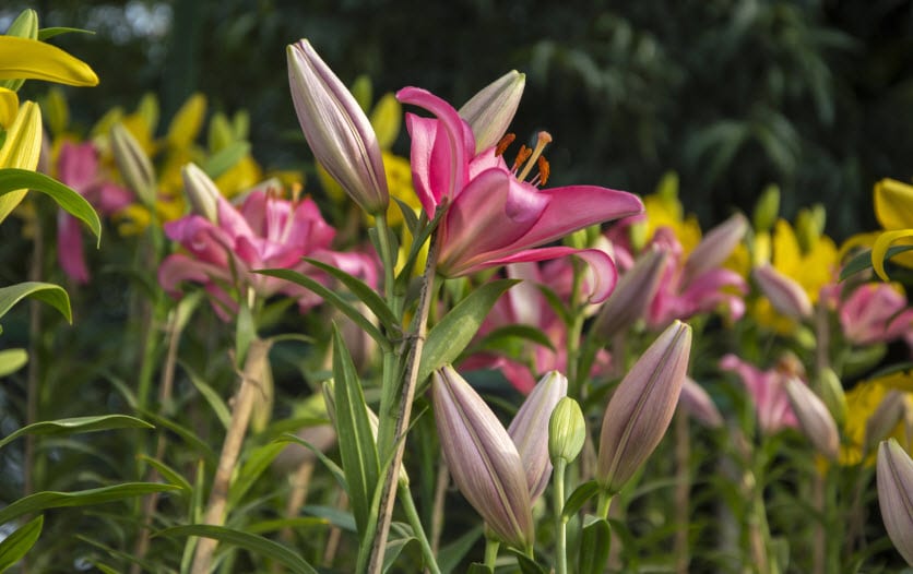 spring equinox