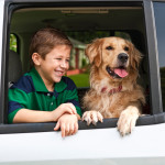 How to Keep Your Kids and Pets Car Safe This Summer