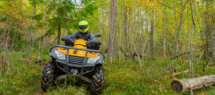 ATV travels through the forest. Man on a yellow quadricycle.